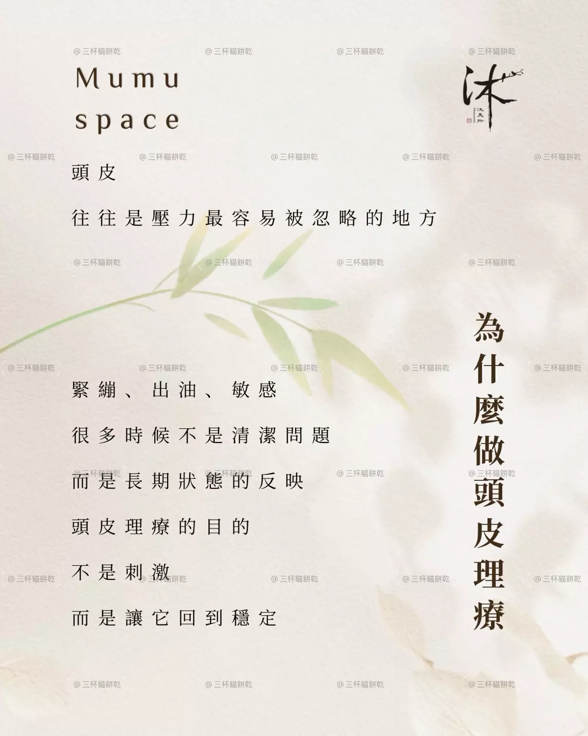 沐木所頭皮照顧知識品牌圖文，以自然植物元素與文字內容說明頭皮護理相關觀念。