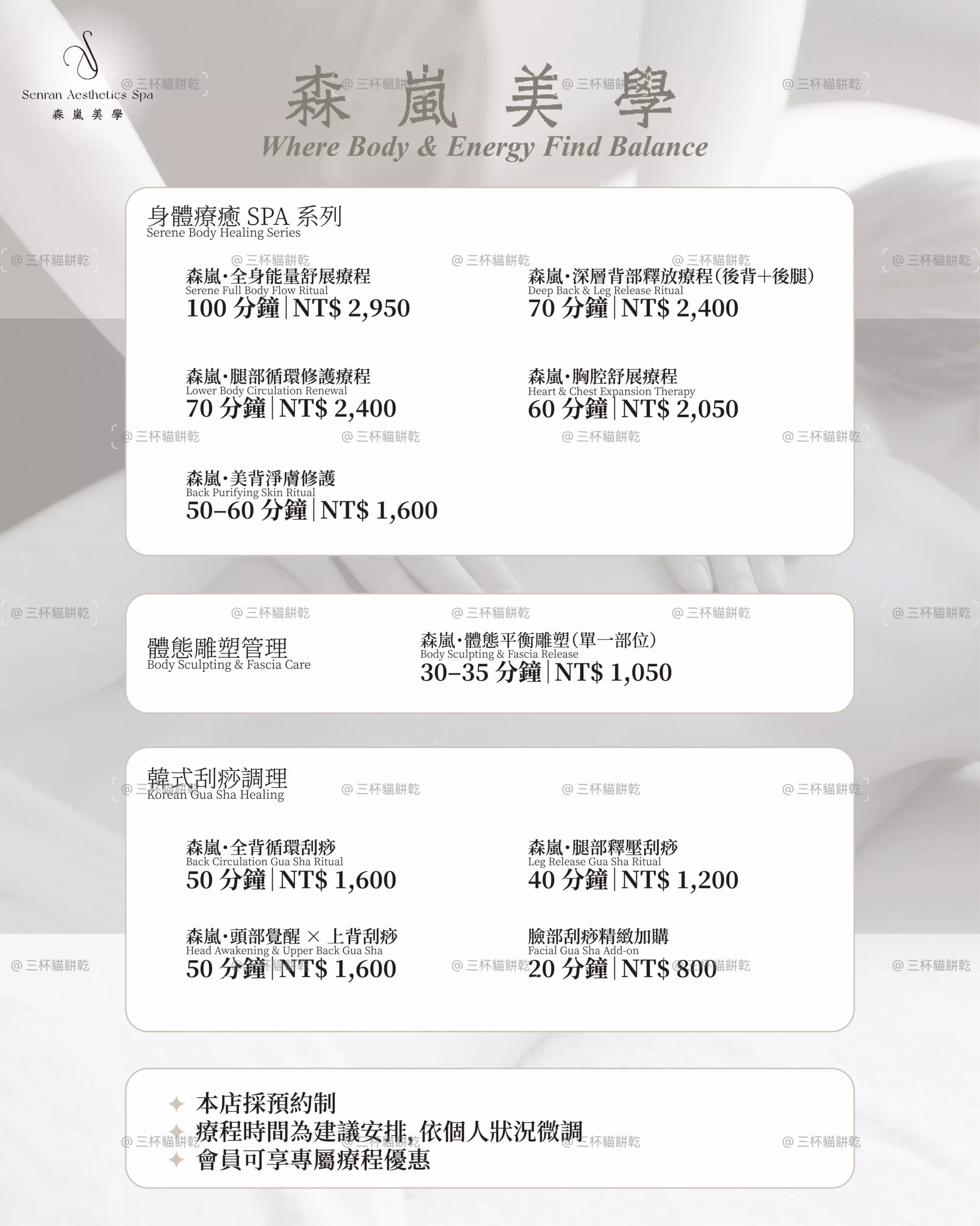 森嵐美學服務價目資訊第二版，以灰米色品牌版面整理不同美容療程與方案價格。