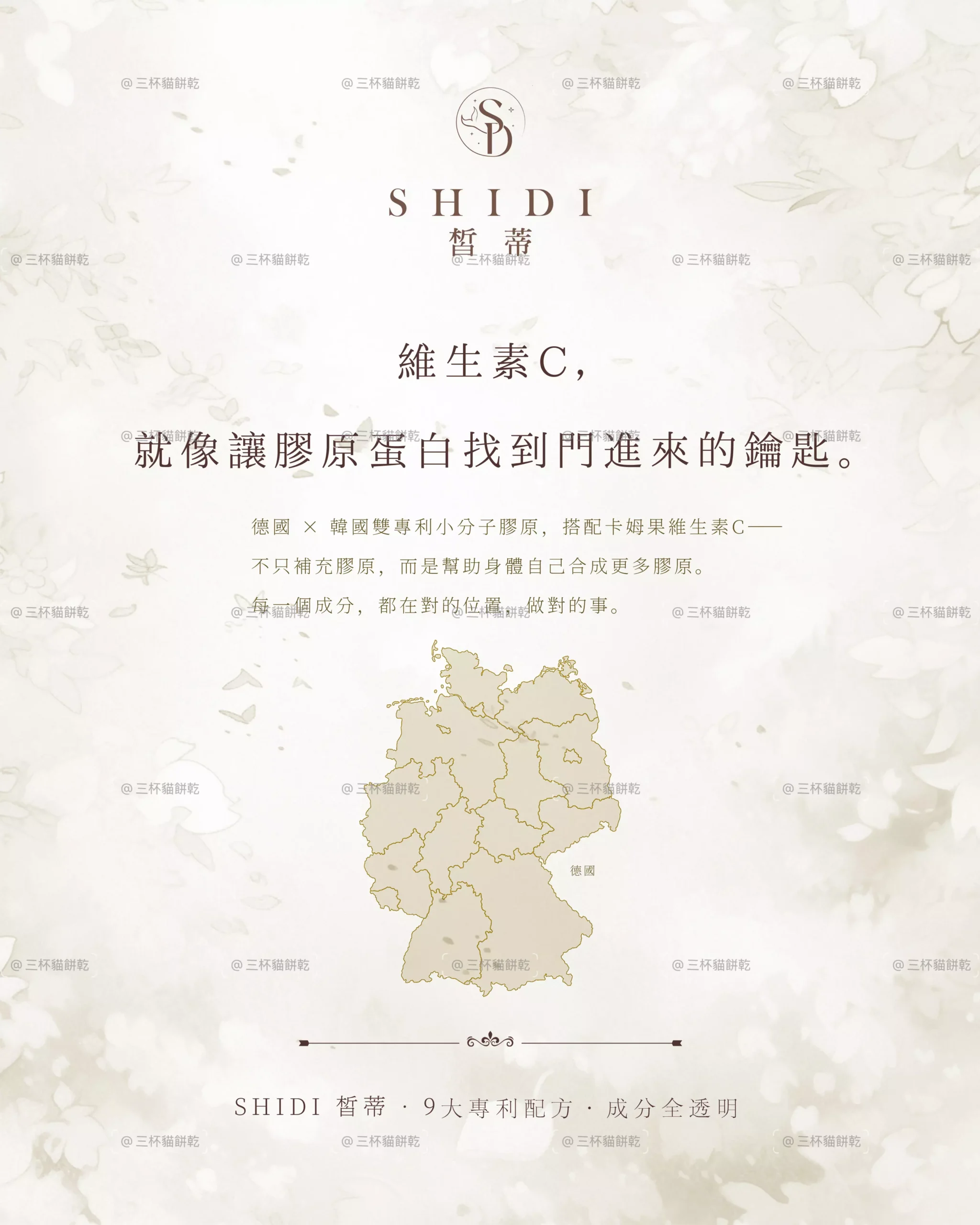 SHIDI 皙蒂維生素 C 知識品牌圖文，以淡米白色調與圖像資訊呈現維生素 C 相關內容。