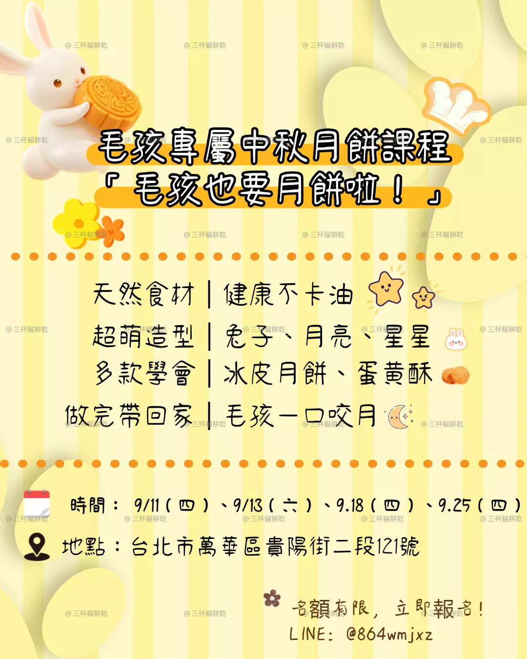 Xsiao Pet 寵物烘焙學苑中秋月餅課程視覺，以黃色系與兔子元素呈現寵物月餅課程內容及活動資訊。