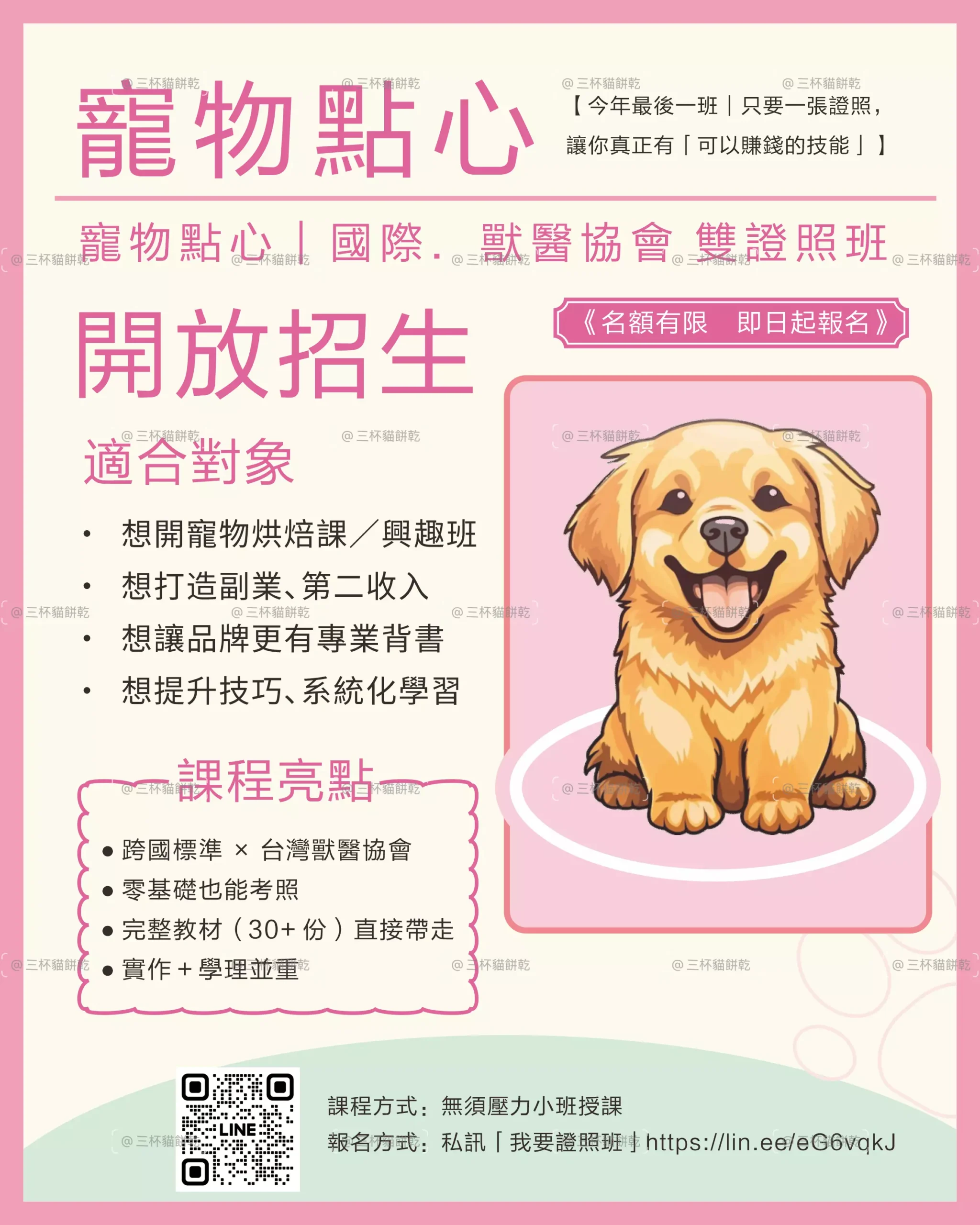 Xsiao Pet 寵物烘焙學苑寵物點心課程招生視覺，以粉色與綠色搭配狗狗插畫呈現招生資訊。