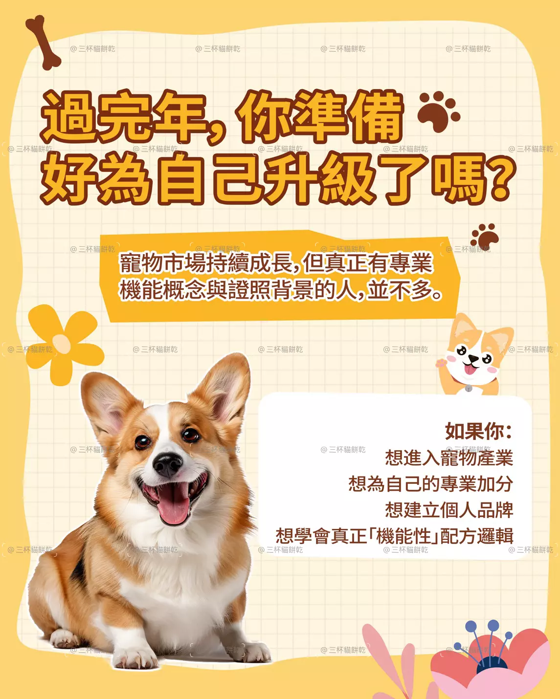 Xsiao Pet 寵物烘焙學苑課程宣傳主視覺，以「過完年，你準備好為自己升級了嗎？」為主題搭配柯基犬與黃色插畫元素。